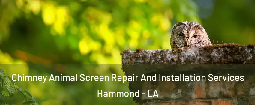  Chimney Animal Screen Repair And Installation Services Hammond - LA