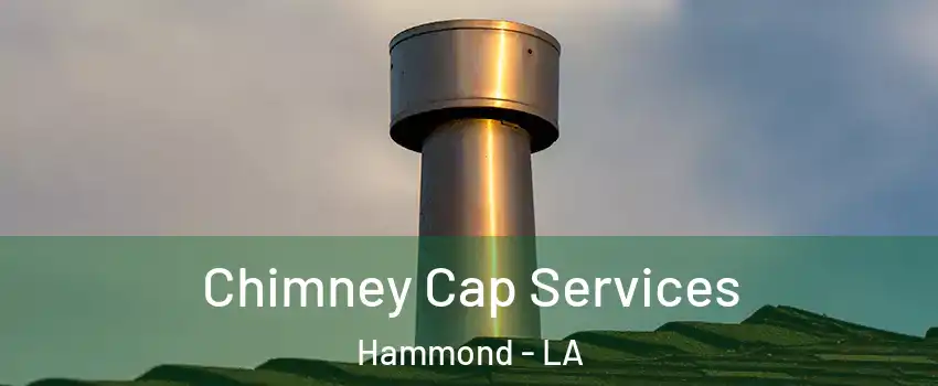  Chimney Cap Services Hammond - LA