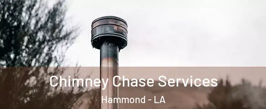  Chimney Chase Services Hammond - LA