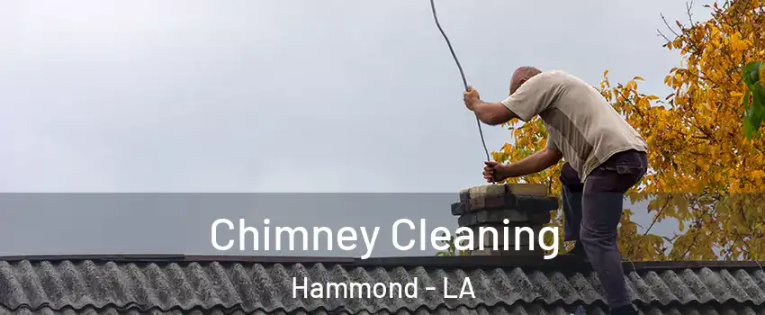  Chimney Cleaning Hammond - LA