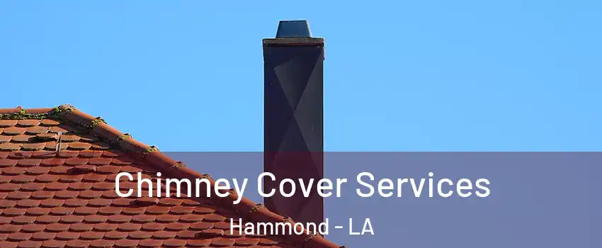  Chimney Cover Services Hammond - LA