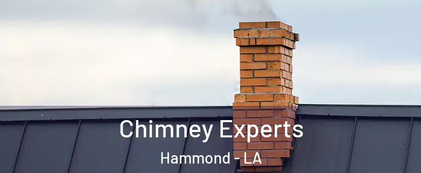  Chimney Experts Hammond - LA