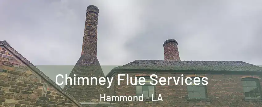  Chimney Flue Services Hammond - LA