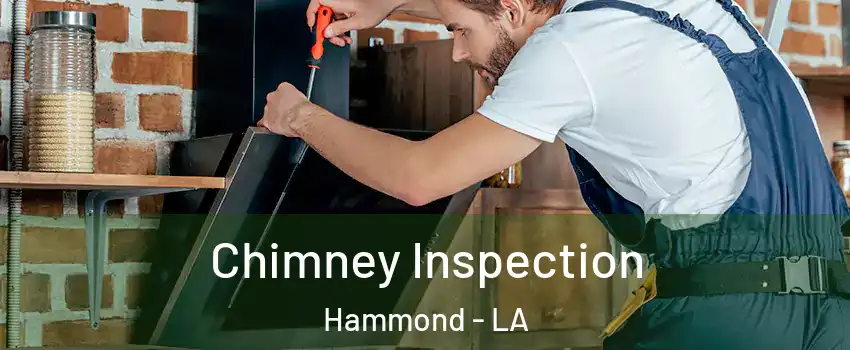  Chimney Inspection Hammond - LA