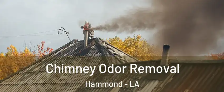 Chimney Odor Removal Hammond - LA