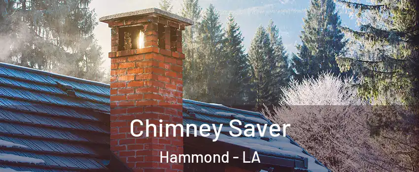  Chimney Saver Hammond - LA