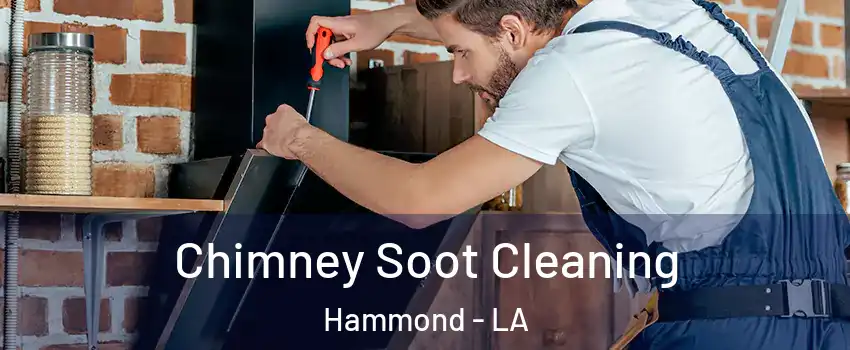  Chimney Soot Cleaning Hammond - LA