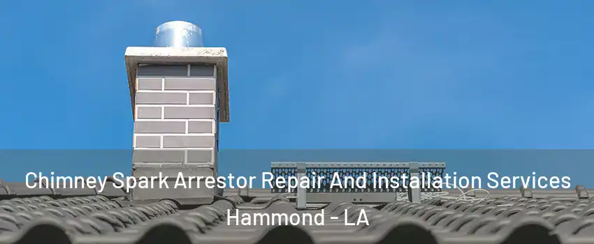  Chimney Spark Arrestor Repair And Installation Services Hammond - LA