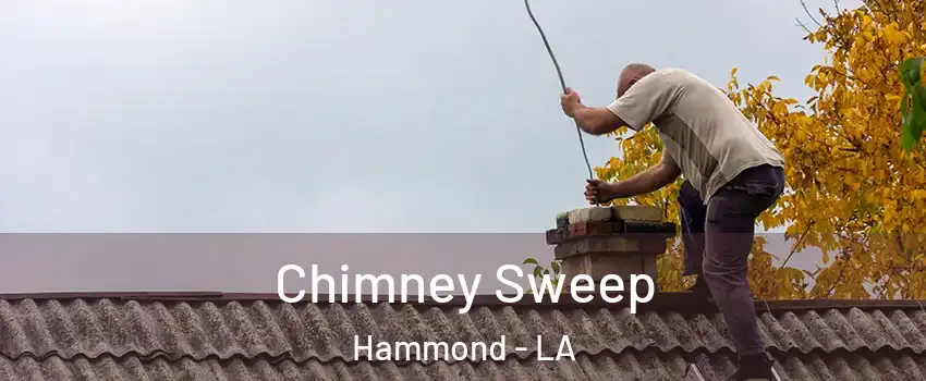  Chimney Sweep Hammond - LA