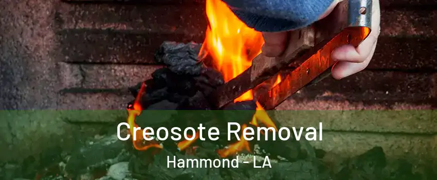 Creosote Removal Hammond - LA