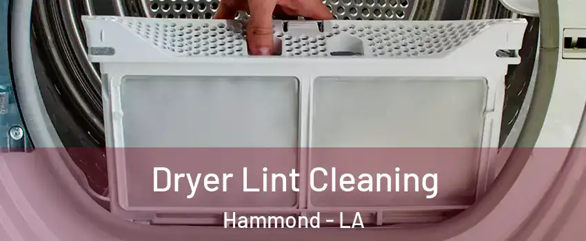  Dryer Lint Cleaning Hammond - LA