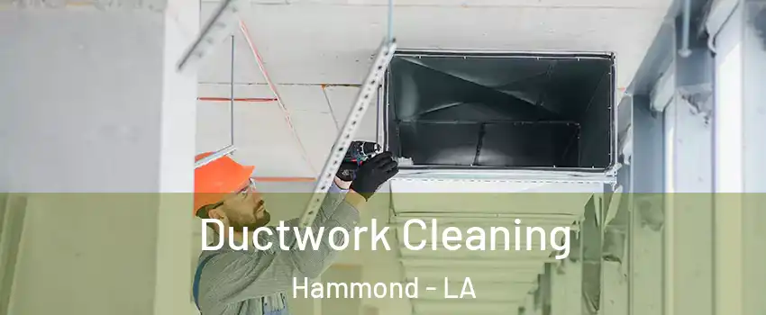  Ductwork Cleaning Hammond - LA