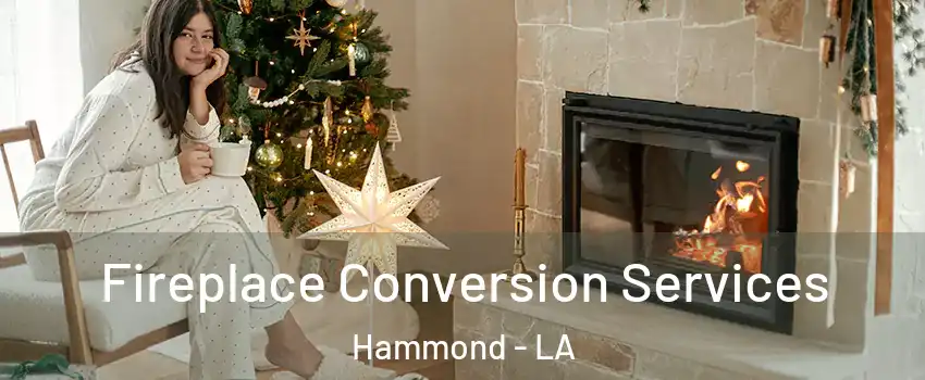 Fireplace Conversion Services Hammond - LA