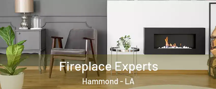  Fireplace Experts Hammond - LA