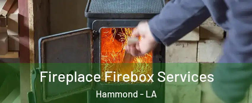  Fireplace Firebox Services Hammond - LA