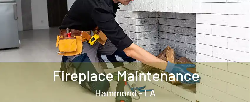  Fireplace Maintenance Hammond - LA