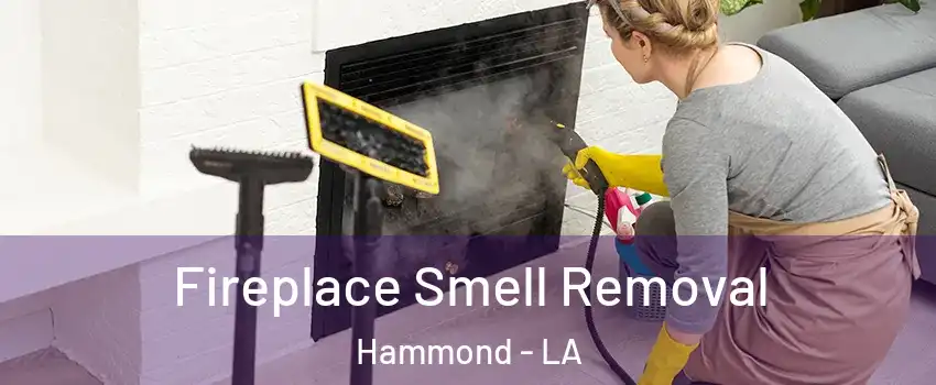  Fireplace Smell Removal Hammond - LA