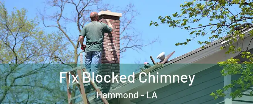  Fix Blocked Chimney Hammond - LA