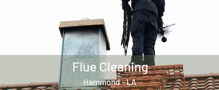  Flue Cleaning Hammond - LA