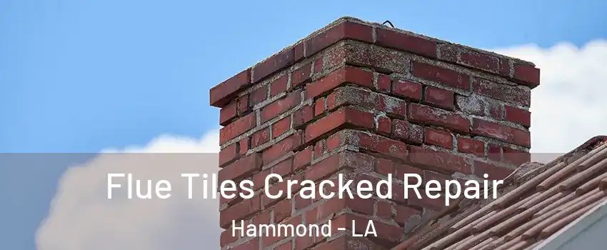  Flue Tiles Cracked Repair Hammond - LA