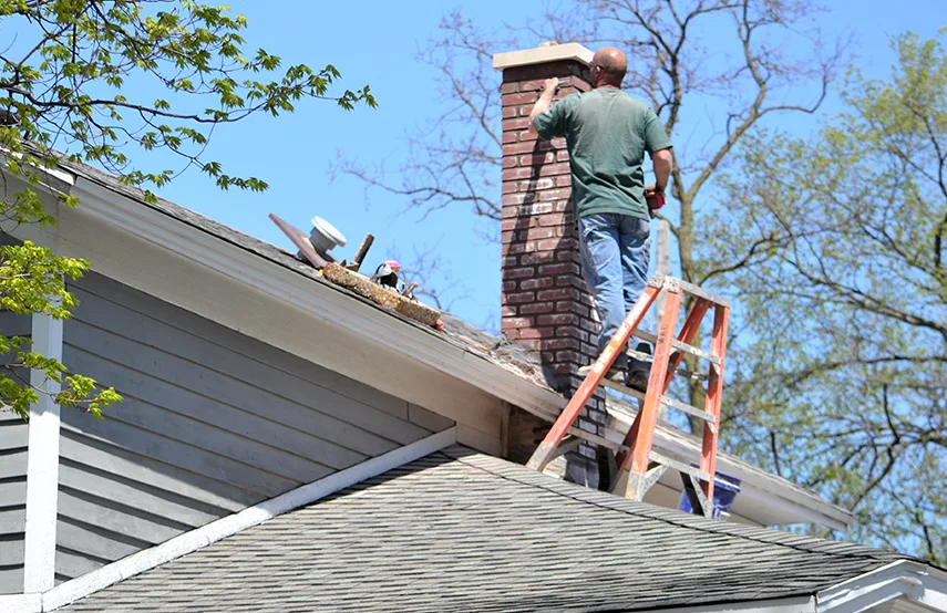 Chimney & Fireplace Inspections Services in Hammond, LA
