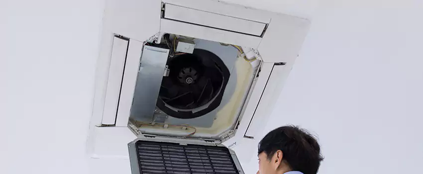 Benefits of Professional Air Duct Cleaning in Hammond, Louisiana