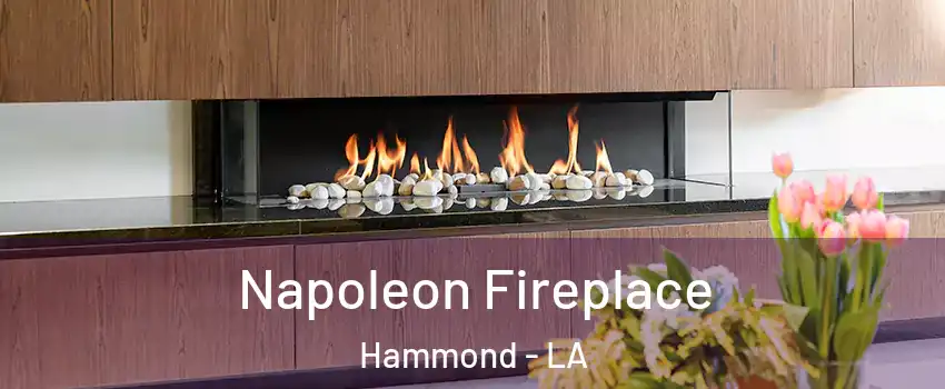  Napoleon Fireplace Hammond - LA