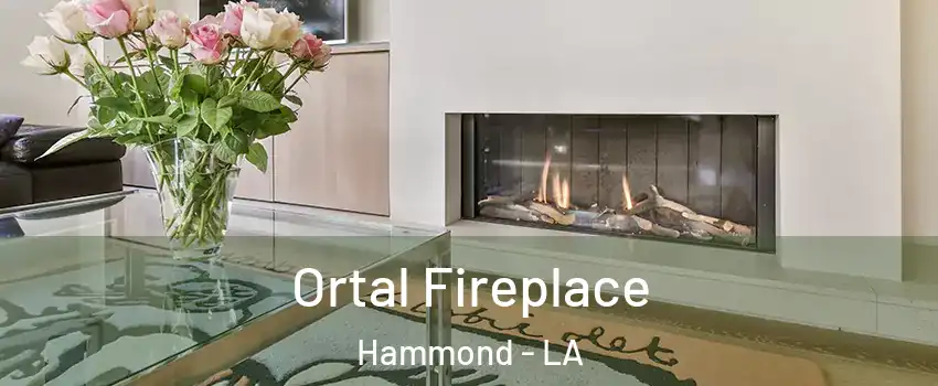  Ortal Fireplace Hammond - LA