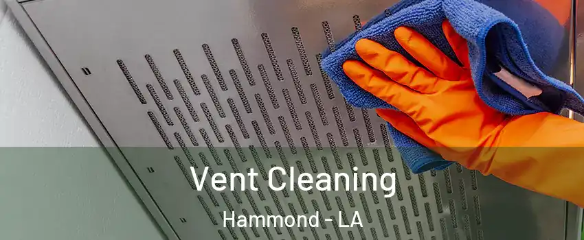  Vent Cleaning Hammond - LA